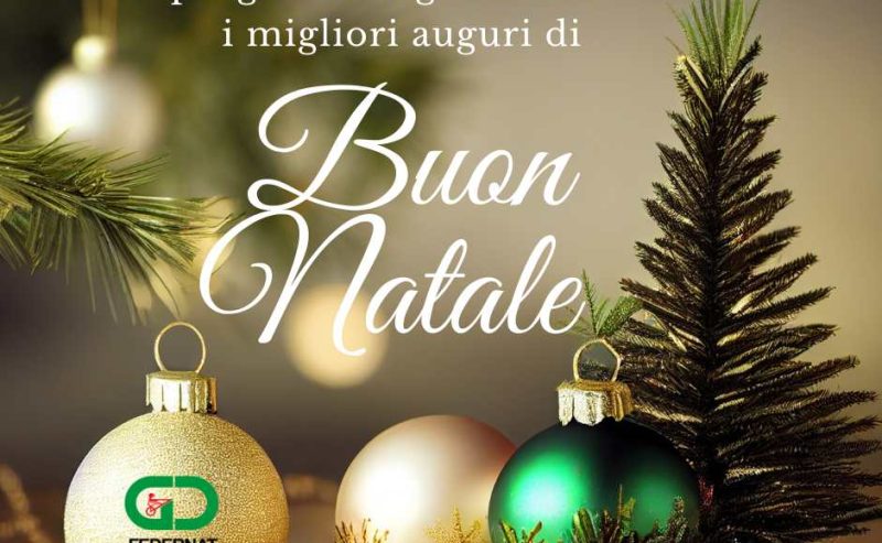Sorpresa sotto l’albero: un nuovo sito web per festeggiare insieme il Natale