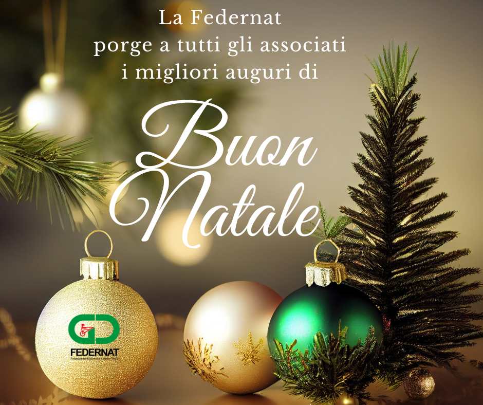 Sorpresa sotto l’albero: un nuovo sito web per festeggiare insieme il Natale